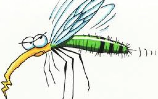 Megkezdték a balatoni szúnyogirtást