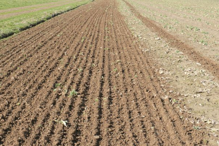 Március végén megkezdődhet a tavaszi vetés Zala megyében