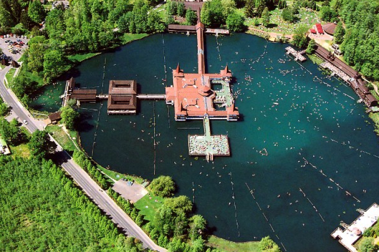 Mozgalmas év után újabb kihívások – újévi fogadás