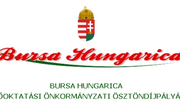 Bursa Hungarica Ösztöndíjpályázat 2014