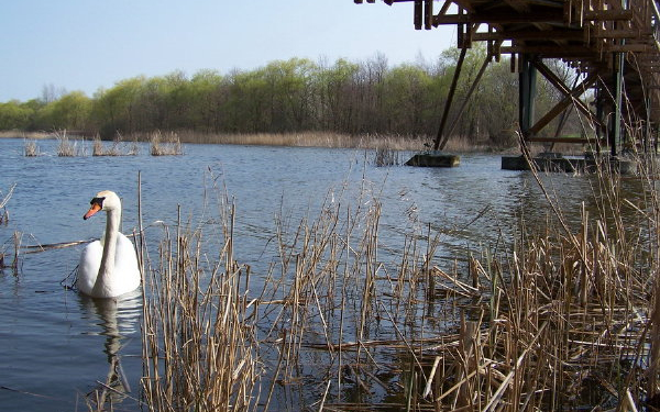 Túl a félidőn a Kis-Balaton vízvédelmi rendszer kiépítésének második üteme