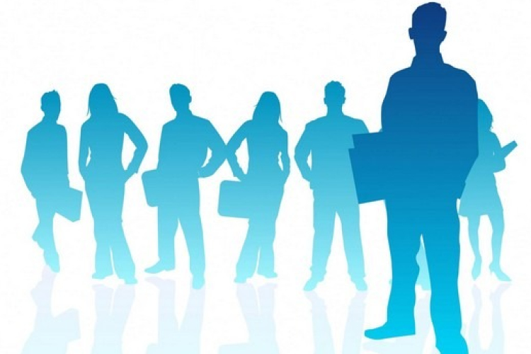 Pályázati felhívás adatgyűjtő foglalkoztatására