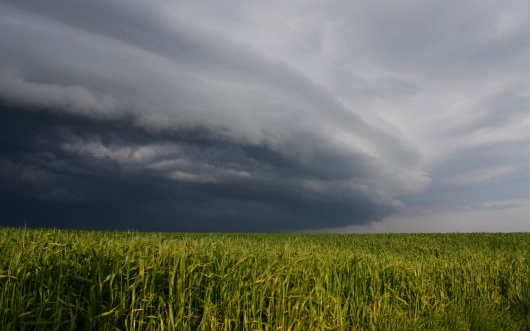 Csütörtökön többfelé várható heves zivatar és felhőszakadás