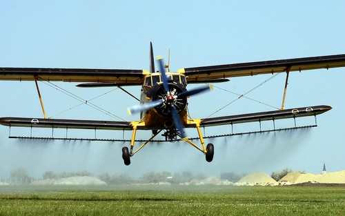 Több pénz jut a balatoni szúnyogirtásra az idén