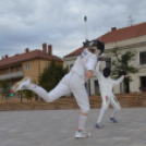 II. Szeptemberi Edzéskereső