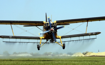 Több pénz jut a balatoni szúnyogirtásra az idén