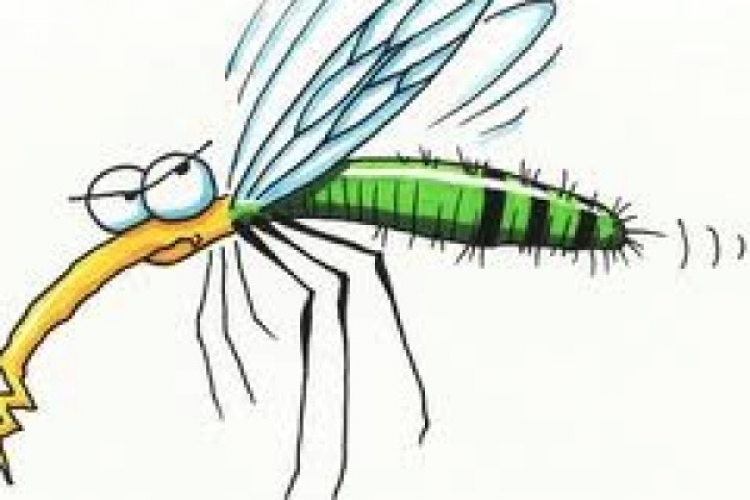 Újabb kémiai szúnyogirtás lesz a Balatonnál