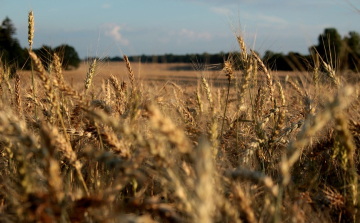 Új lendületet vehet a generációváltás az agráriumban