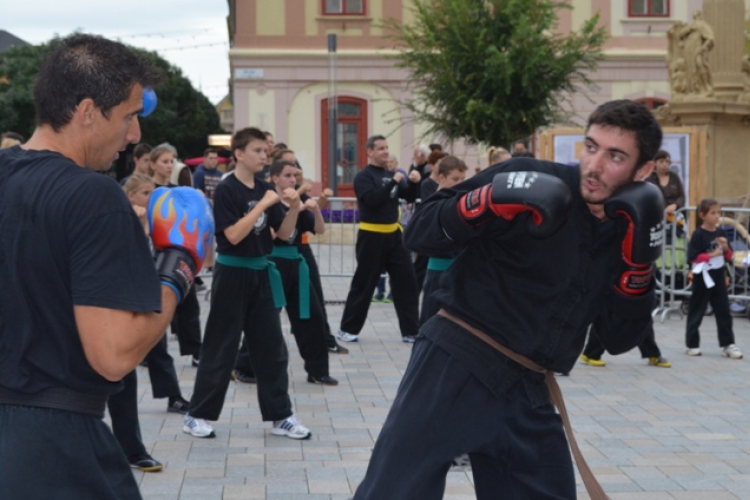 II. Szeptemberi Edzéskereső