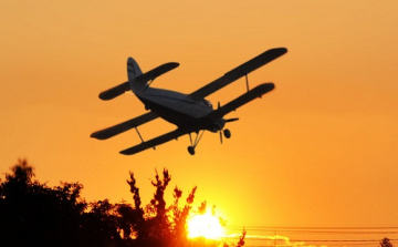 Szúnyogok - Hatékony volt az elvégzett kémiai irtás a Balatonon