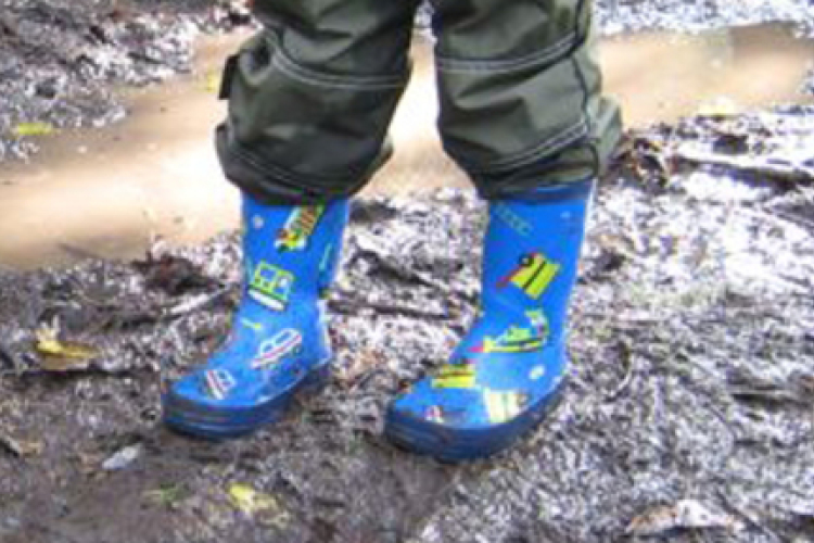 Több megyében viharos szél és sok eső miatt figyelmeztet a meteorológia