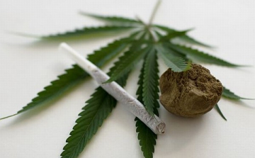 Kábítószert termesztettek, lebuktak