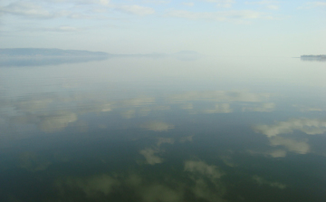 Haltelepítési beszámoló: sügeret telepítettek a Balatonba