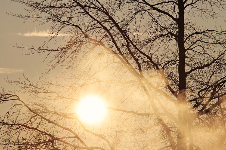 Ködös idő és napsütés is várható a hétvégén