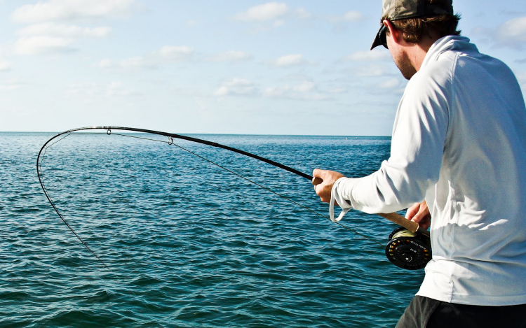 Manninger Jenő: a Balatont is felügyeljék a horgászegyesületek 