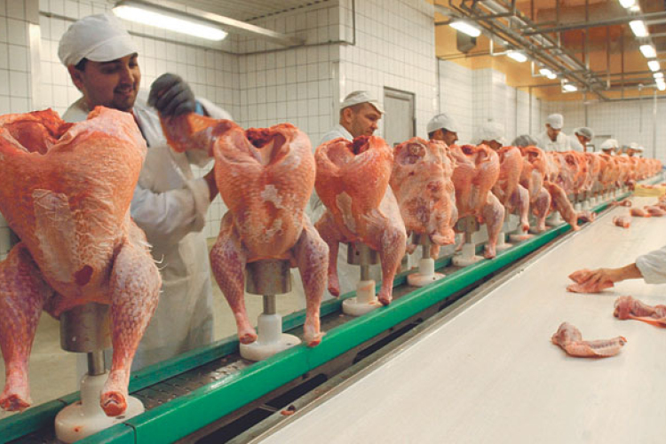 Lezárult a Zalai Baromfifeldolgozó értékesítése, novemberben újraindulhat az üzem