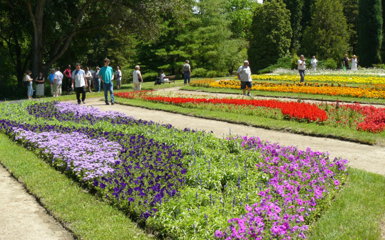 Hévíz és Csopak is ezüstérmet kapott az európai környezetszépítő versenyen