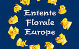 Virág offenzíva minden szinten