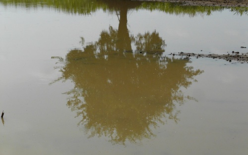 Árvíz - Vasárnap 13 ezer hektárral nőtt a belvíz által elárasztott területek nagysága