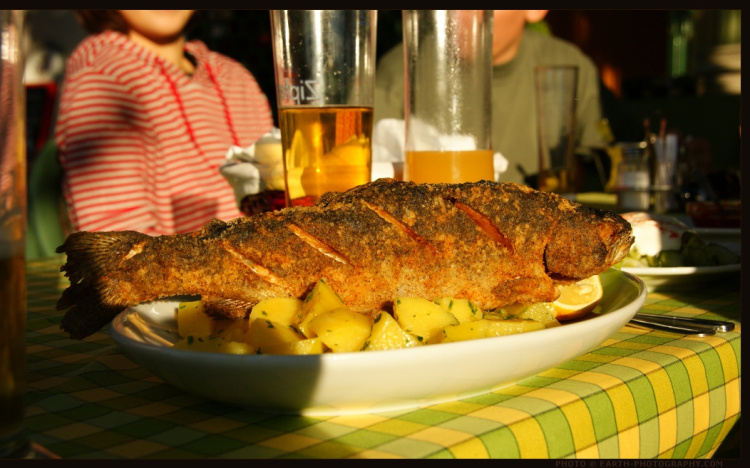 Fellendült a magyar halfogyasztás a Balatonnál