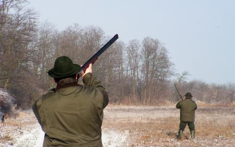 Hétszeresére nőtt a vadászati ágazat nyeresége Zala megyében
