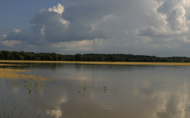Három hét alatt 10 centiméterrel nőtt a Balaton vízszintje