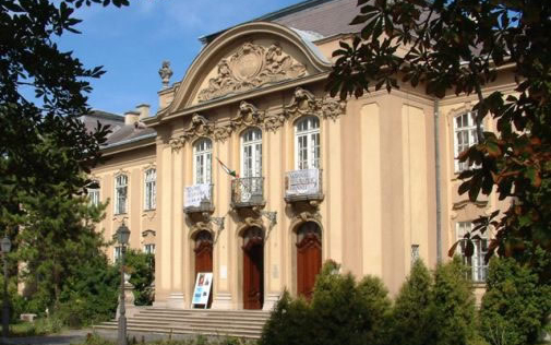 Szakmai elismerésben részesült a Balatoni Múzeum igazgatója