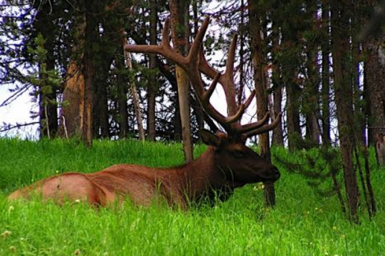 Több száz milliós fejlesztés a Keszthelyi-hegység erdei kirándulóhelyein