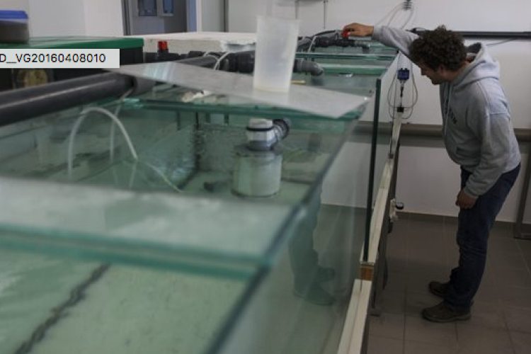 Átadták a keszthelyi Georgikon megújult hallaboratóriumát