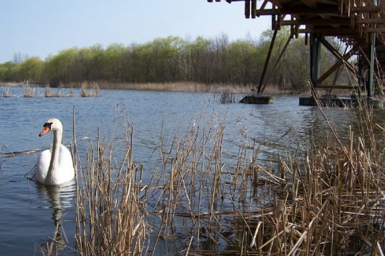 Túl a félidőn a Kis-Balaton vízvédelmi rendszer kiépítésének második üteme