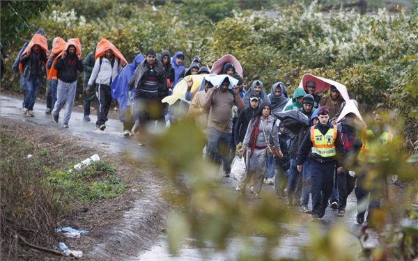 Torlódnak a migránsok a szerb-horvát határon